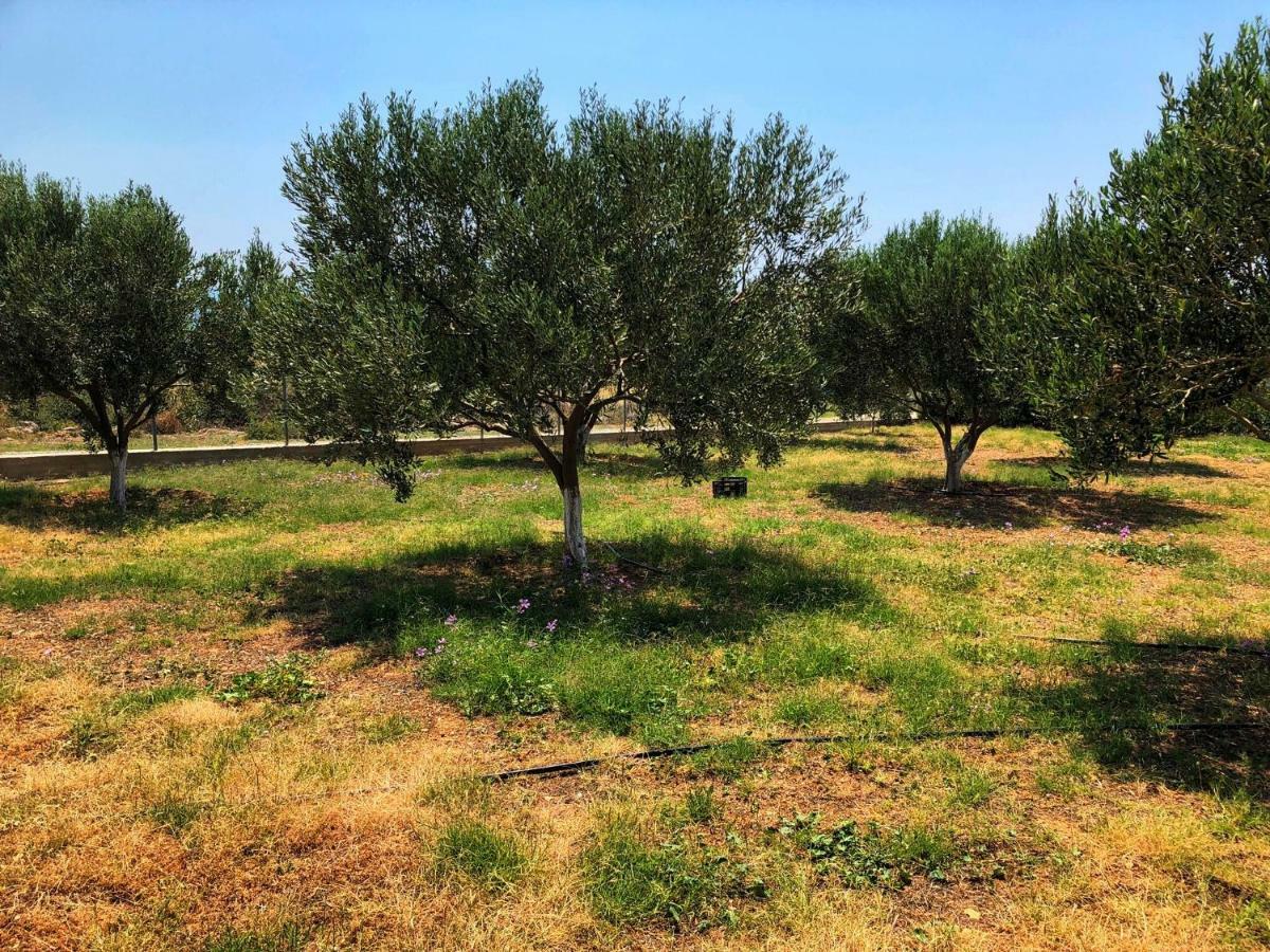 The Hillhouse Near Alexandroupolis Villa Bagian luar foto