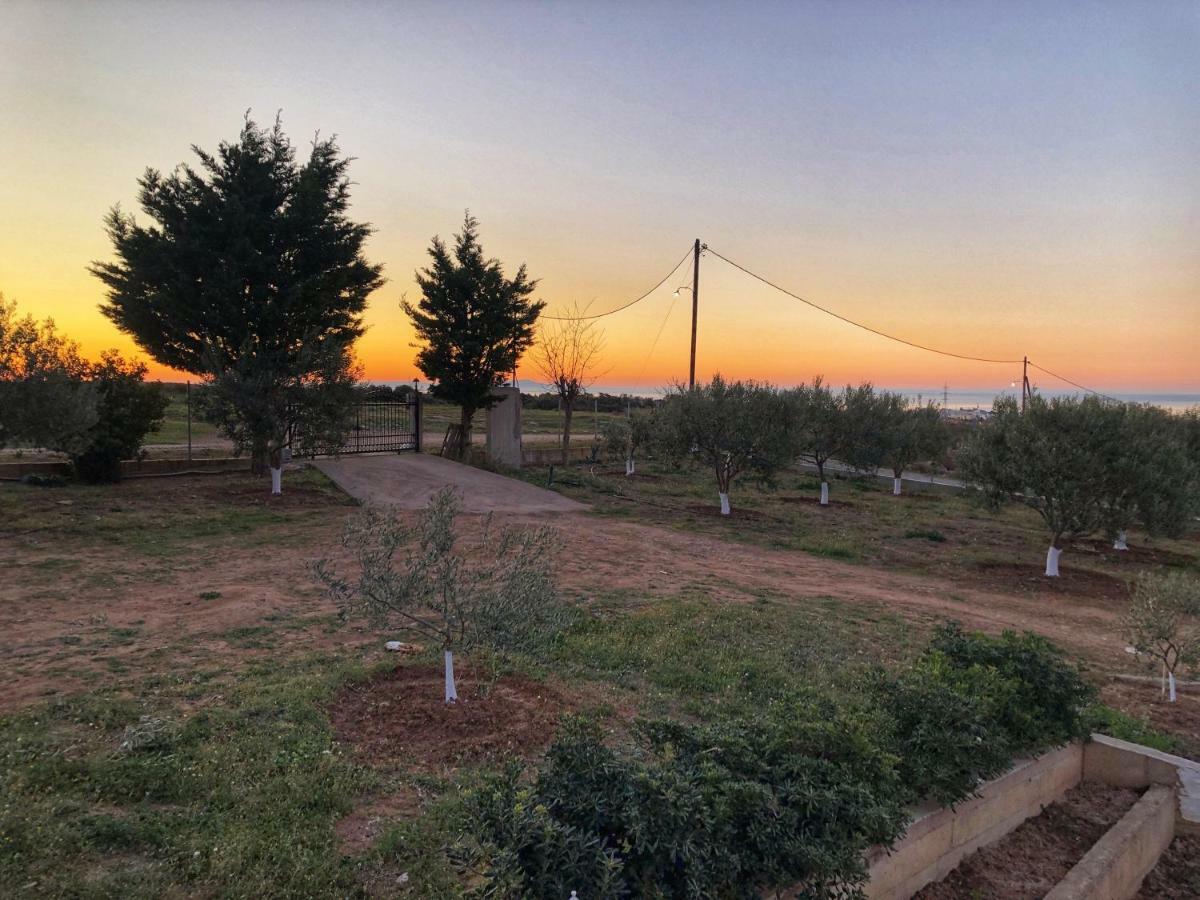 The Hillhouse Near Alexandroupolis Villa Bagian luar foto